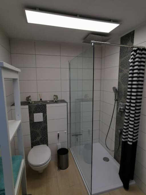 Altes Gut Berka Apartment